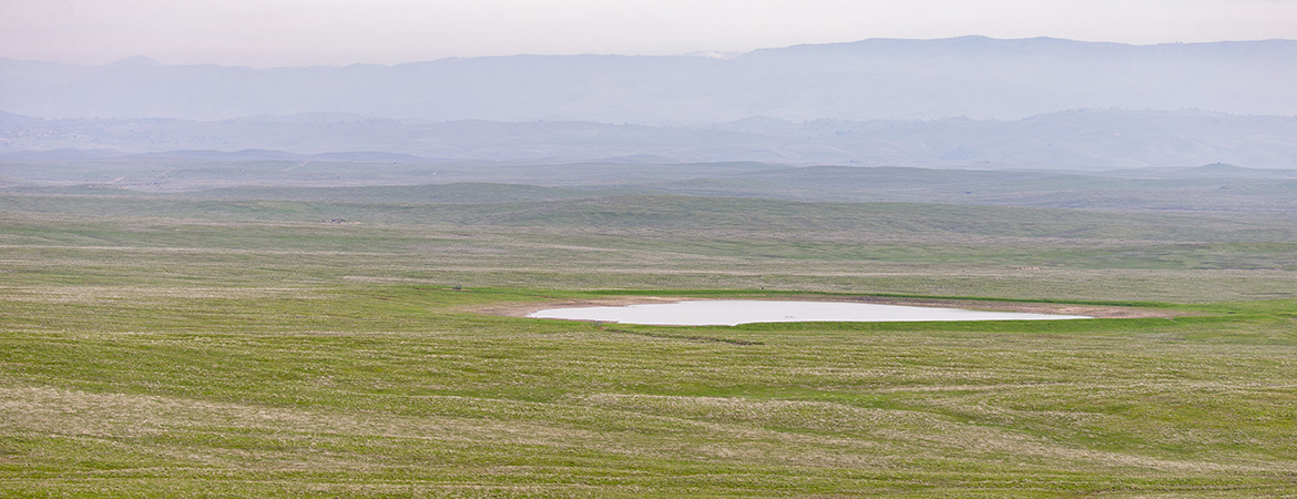 Spring Landscape (photo: Sean Werle)