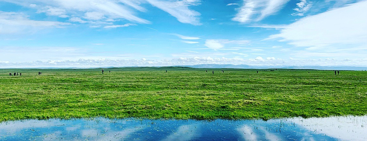 Vernal Pool in Spring and Clouds (photo: Harrison Tom)