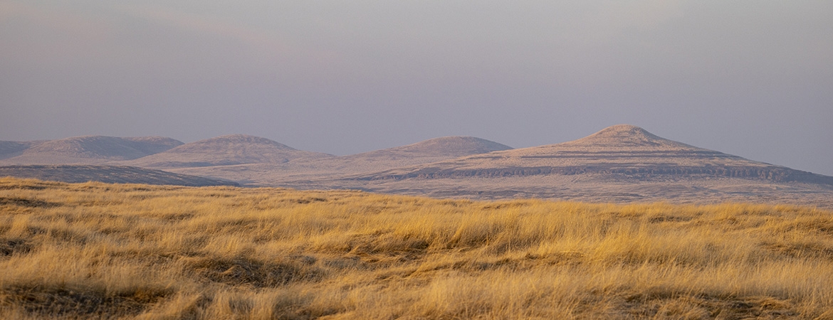 Winter Landscape (photo: Sean Werle)