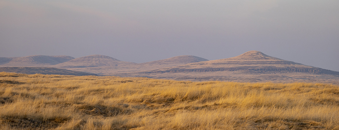 Winter Landscape (photo: Sean Werle)